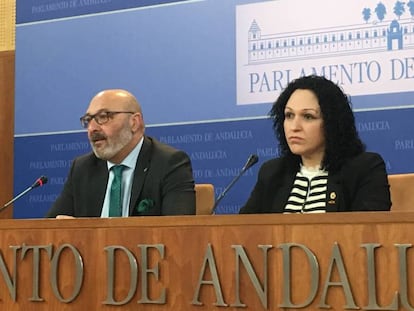 El portavoz de Vox en el Parlamento andaluz, Alejandro Hernández (izquierda) y Luz Belinda Rodríguez, en marzo del año pasado. En vídeo, así hablaba Rodríguez en marzo de 2019 de la igualdad en Vox.