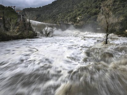 Imagen del río Ter tras el desembalse de las presas de Susqueda y Pasteral. En vídeo, las consecuencias del paso de la borrasca 'Gloria'.