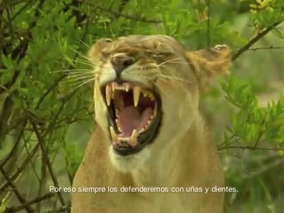Rubalcaba defiende los derechos sociales "con uñas y dientes" en un nuevo spot