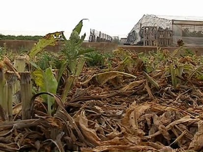 Hacienda achaca a un error con el DNI de la Infanta el enredo de las fincas