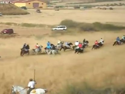 Un toro escapa de unos encierros y casi se cuela en la carretera A-2