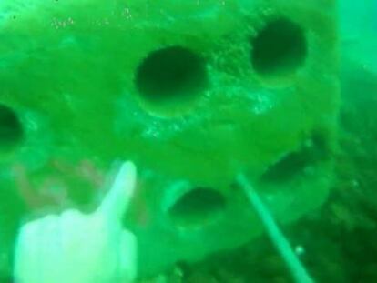 Los bloques de hormigón que impiden pescar en Gibraltar