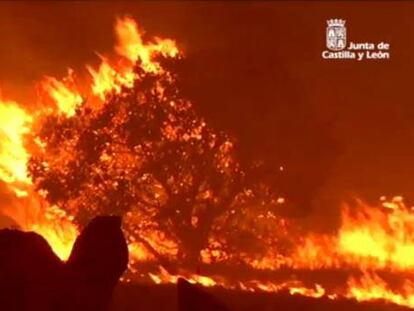 “¡Que viene, fuera!’, se oía de noche. El fuego venía a una velocidad alucinante”