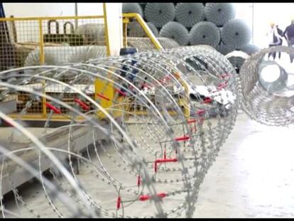 Fábrica de cuchillas entre cítricos