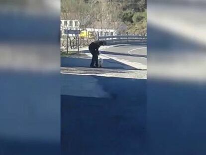 Los animalistas denuncian la “brutal” agresión a un cerdo vietnamita