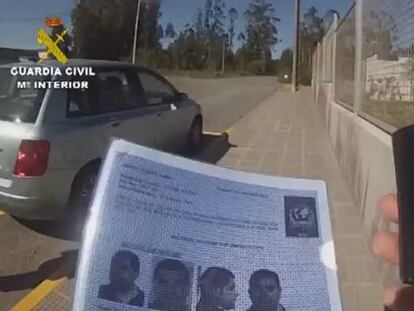 Detenido un veterinario por implantar heroína en cachorros de perro