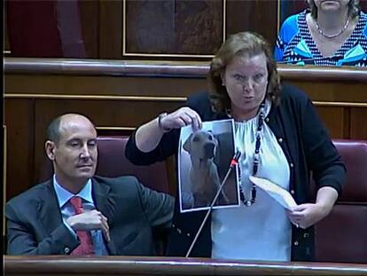 Los viajes de la perra del ministro del Interior se debaten en el Congreso