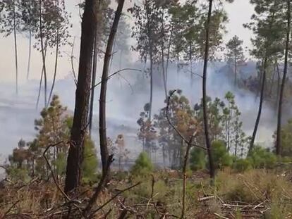 Viaje por la calcinada Sierra de Gata para comprobar de primera mano el alcance del incendio.