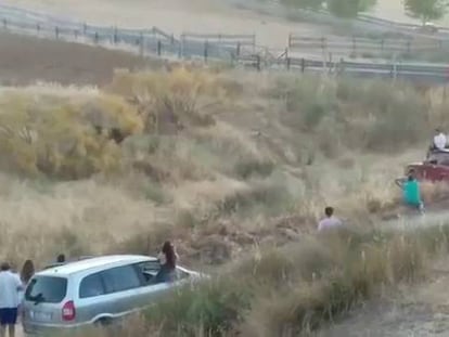 Denunciada la muerte a tiros de una vaca en un encierro de Toledo