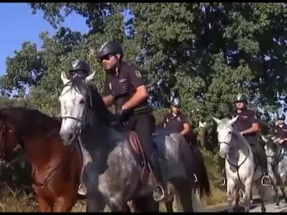 Un grupo de agentes durante la búsqueda.