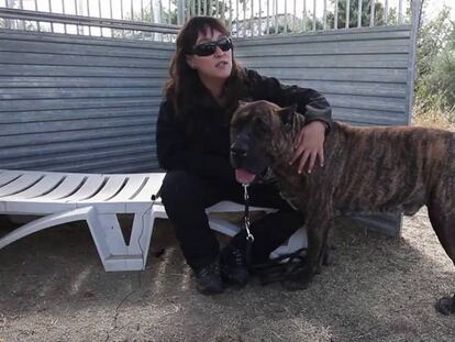 Perros de protección para mujeres maltratadas