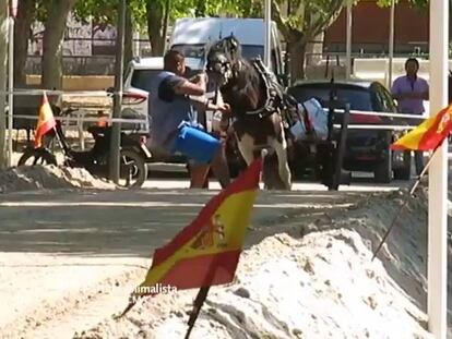 La violencia contra los caballos en un deporte valenciano indigna a los animalistas