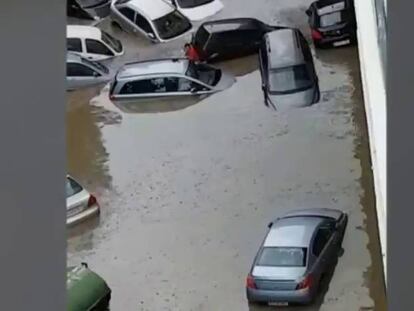 Una fuerte tromba de agua y granizo tumba 50 árboles en Zaragoza