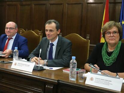 Pedro Duque, en el centro, preside, este lunes, el pleno del Consejo de Universidades.