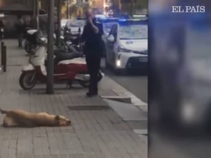 Los animalistas exigen que se investigue a un policía que abatió a un perro en Barcelona