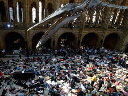 Activistas representan una extinción en el Museo de Ciencias Naturales este lunes.