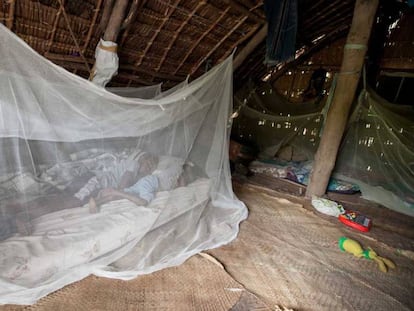 El uso de mosquiteras impregnadas de insecticida ha sido clave en la lucha contra la malaria. En vídeo, así es el plan de vacunación contra la malaria.
