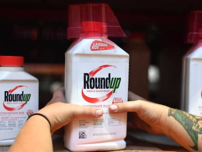 Un empleado coloca un envase de Roundup en el estante de una tienda en San Rafael, California. En vídeo, declaraciones de los demandantes y su abogado.
