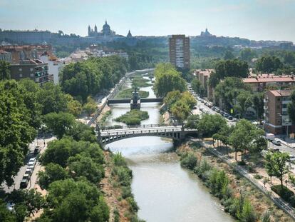 Madrid vuelve a tener río. La renaturalización del Manzanares, iniciada hace tres años, ha favorecido la llegada de fauna y el nacimiento de flora autóctona.