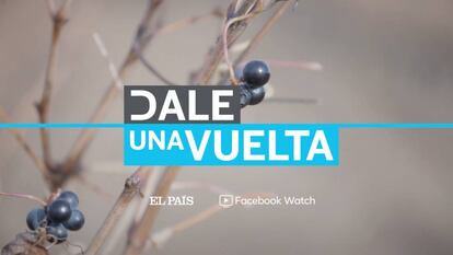 Sexta entrega de 'Dale una vuelta' de EL PAÍS y Facebook Watch.