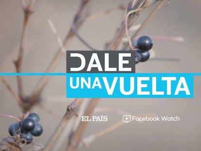 Sexta entrega de 'Dale una vuelta' de EL PAÍS y Facebook Watch.