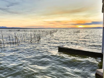 Vista de l'Albufera. En vídeo, la situació actual del lloc.