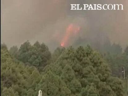 El fuego, aún en nivel 1, está siendo gestionado por el Cabildo de la isla