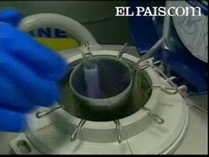 De la piel de los primates han obtenido valiosas células embrionarias
