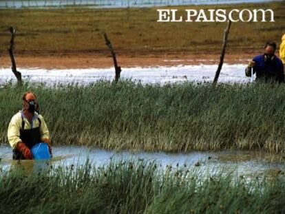Tras el accidente en la mina de cobre de Boliden Apirsa, casi un centenar de investigadores liderados por el CSIC se organizaron para emitir un informe científico sobre el impacto del vertido sólo cuatro días después del desastre. Algunos de estos expertos hablan de la respuesta dada por la investigación durante estos diez años y se lamentan de que no se hayan sistematizado este tipo de actuaciones.