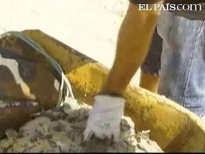 El derrame de hidrocarburo en Palos de la Frontera ha alcanzado el Parque Nacional de Doñana, donde 260 personas trabajan para limpiar este espacio de alto valor ecológico. Ya se han recogido 336 toneladas de fuel.