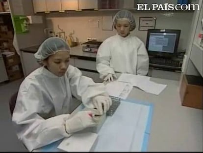 El Síndrome de Inmunodeficiencia Adquirida (sida), contra el que hoy científicos de EEUU y Tailandia han presentado una vacuna, afecta a 33 millones de personas en el mundo, según datos de 2007 publicados por el Programa de la ONU contra el Sida (ONUSIDA). La vacuna anunciada hoy sólo tiene una efectividad del 31,2%, aunque es un primer avance después de 20 años de infructuosas investigaciones para lograr una inoculación contra el mal.