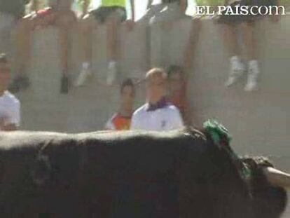 Muerte del Toro de la Vega