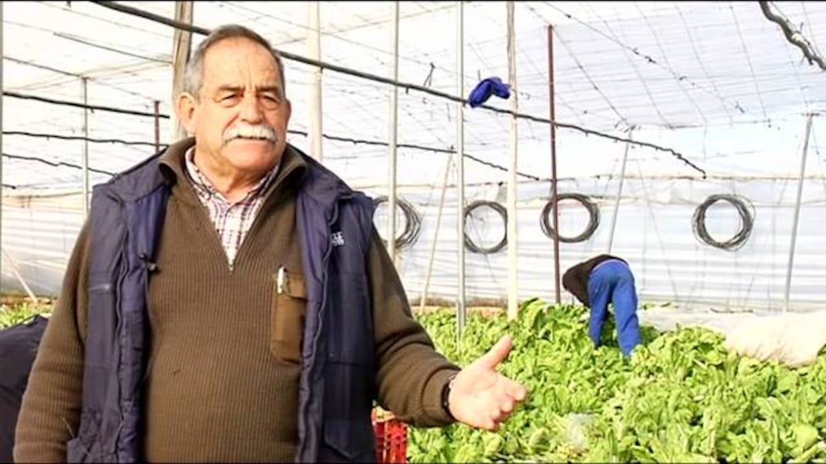España frente a la crisis alimentaria: precios más altos, más comida en la basura 10 Merca2.es La comida tiene precios más altos, así que no la desperdiciemos