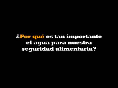 7.000 litros de agua para producir un filete de ternera
