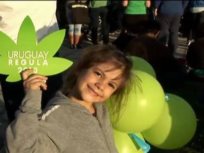 Uruguay aprueba una ley inédita para regular el comercio de marihuana