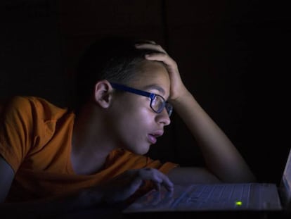 Un niño observa la pantalla del ordenador.