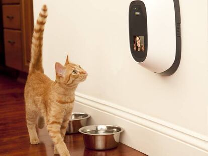 En foto: Un gato y su dueña se comunican a distancia con PetChatz. En vídeo: anuncio.