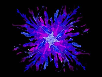 La conquista del hogar conectado: ¿un asistente para dominarlos a todos?