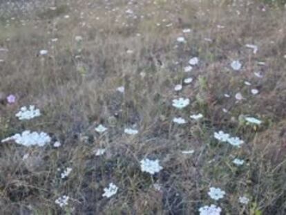 De expedición con Futuro Terror: estrenamos su nuevo videoclip