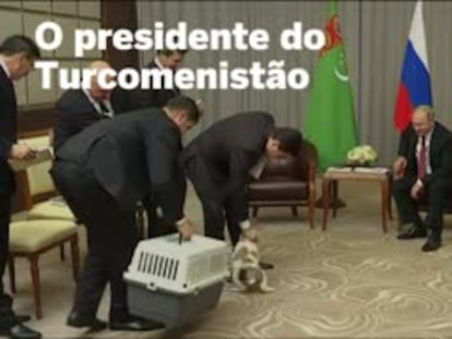 Diplomacia, animais e presentes