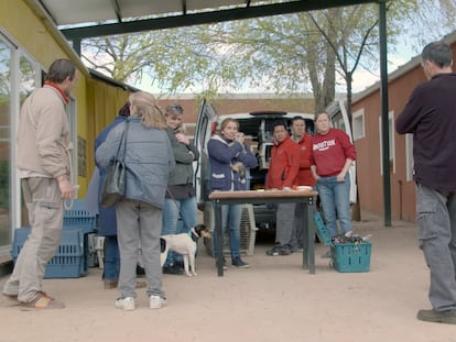 Voluntarios de ALBA preparan a los animales que viajarán a Alemania.