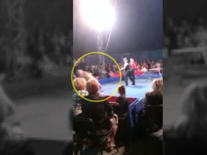 Un oso lanzándose al público en un circo de Ucrania