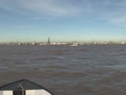 Dos ballenas perdidas en el Río de la Plata