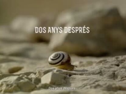 La CUP estimba el ‘procés’ en un vídeo