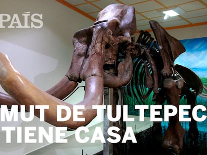 Con el mamut, la arqueología llegó a Tultepec