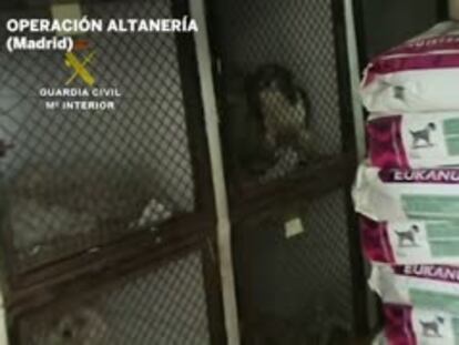 En vídeo, la Guardia Civil lleva a cabo la 'Operación Altanería' en Madrid