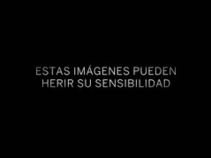 Vídeo grabado por una cámara de seguridad que recoge toda la secuencia de la muerte del perro.