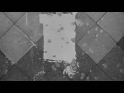 Cuarón vuelve al origen
