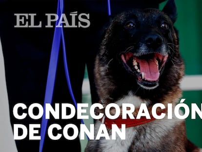 Trump rinde honores al perro que participó en la operación contra el terrorista Al Bagdadi