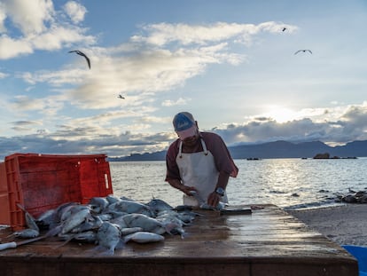 Un hombre limpia pescado en la isla El Pardito.